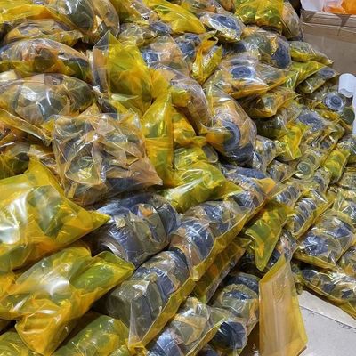 Coussin de moteur d'excavatrice Purple Horn pour Caterpillar E323D C6.4